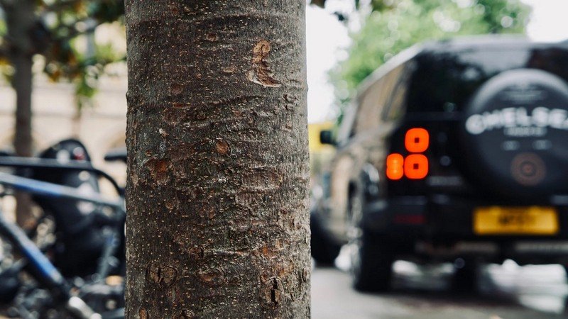 Chelsea Truck Company Spare Wheel Cover for 2020+ Defender 90/110/130 - Image 7